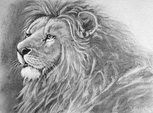 Portret leva (Oglje, 30x40 - 2020) - Jože Anžič